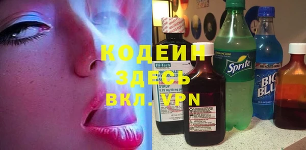 шишки Коряжма