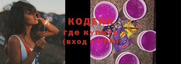 прущий лед Корсаков