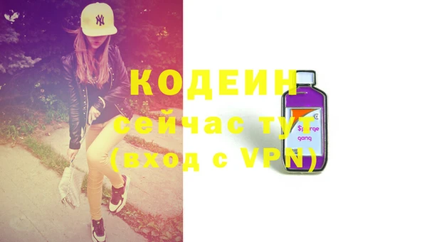 шишки Коряжма