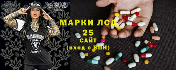 шишки Коряжма