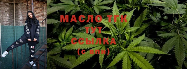 шишки Коряжма