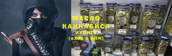 шишки Коряжма